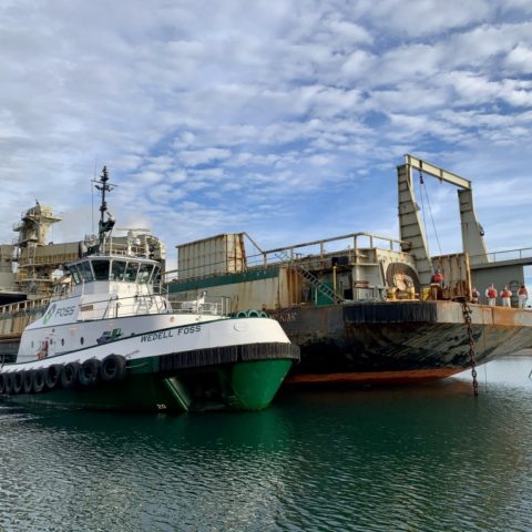 WEDELL FOSS is a Harbor Tug hailing from Seattle, WA.